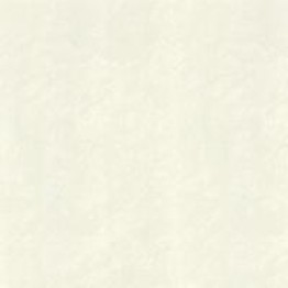 Gạch Trường Thịnh GRANITE EFFECT JT0803